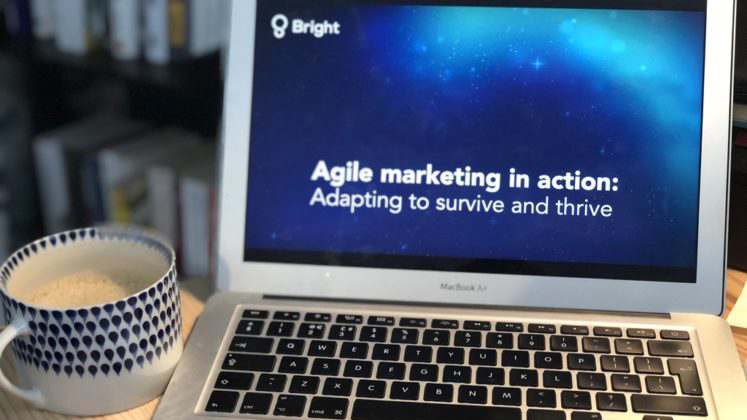 Agile Marketing in Action: Adapting to Survive and Thrive
